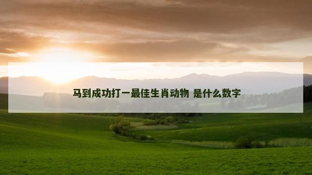 马到成功打一最佳生肖动物 是什么数字