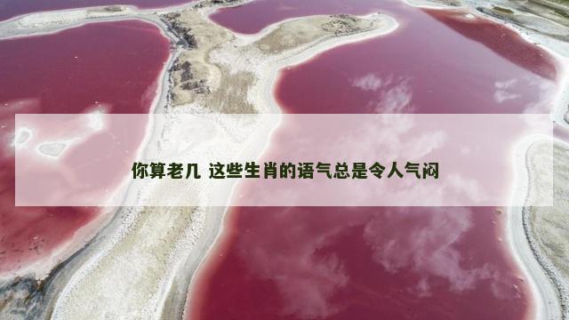 你算老几 这些生肖的语气总是令人气闷 你算老几 这些生肖的语气总是令人气闷