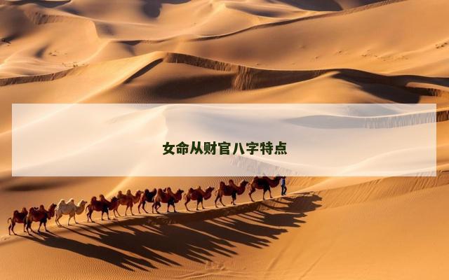 女命从财官八字特点