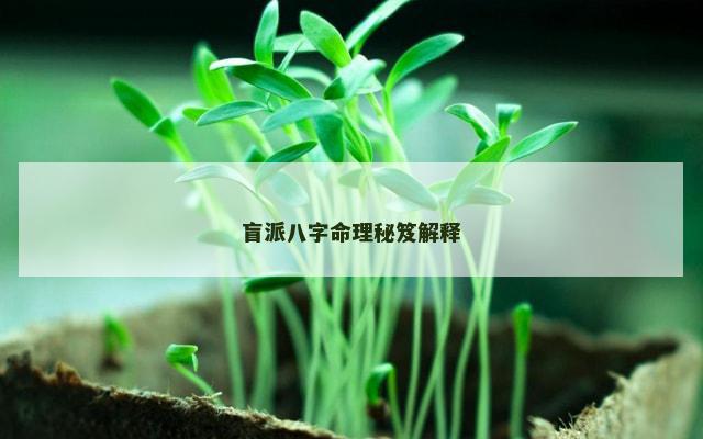 盲派八字命理秘笈解释 盲派八字命理秘笈解释