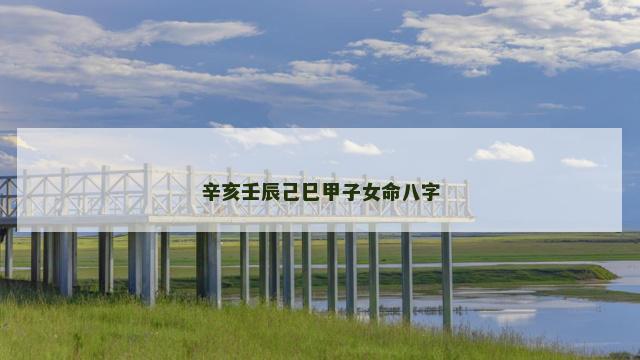 辛亥壬辰己巳甲子女命八字