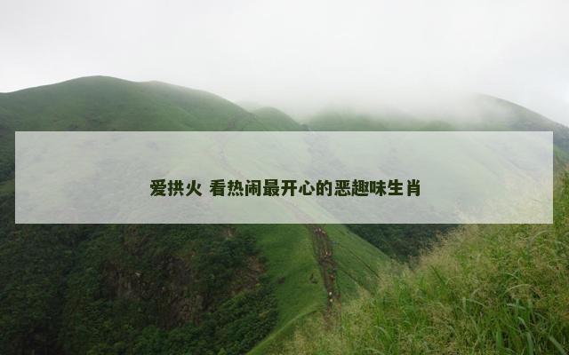 爱拱火 看热闹最开心的恶趣味生肖