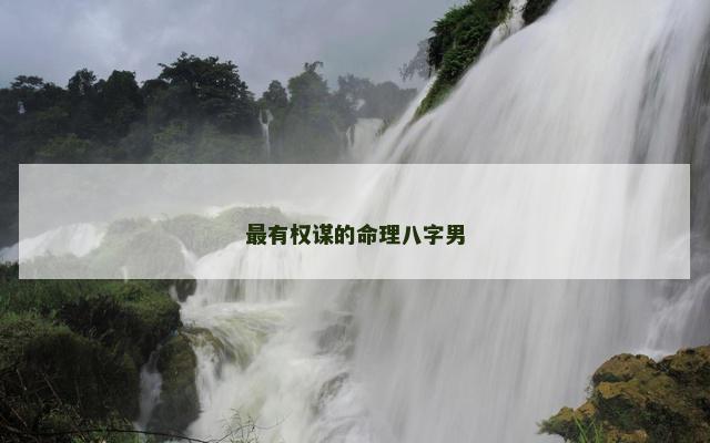 最有权谋的命理八字男