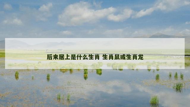 后来居上是什么生肖 生肖鼠或生肖龙