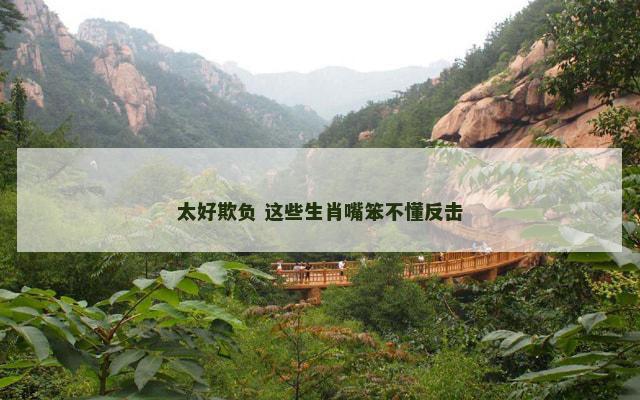 太好欺负 这些生肖嘴笨不懂反击