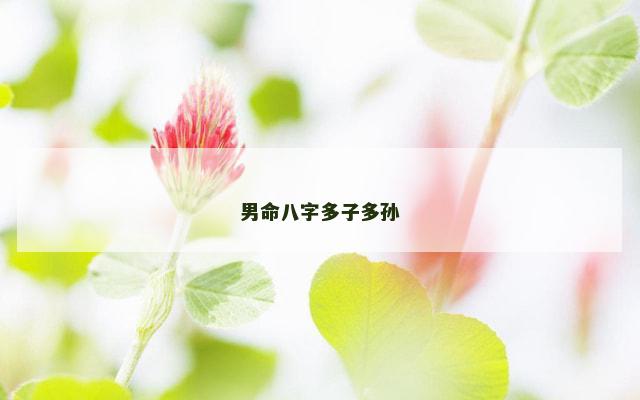 男命八字多子多孙 男命八字多子多孙