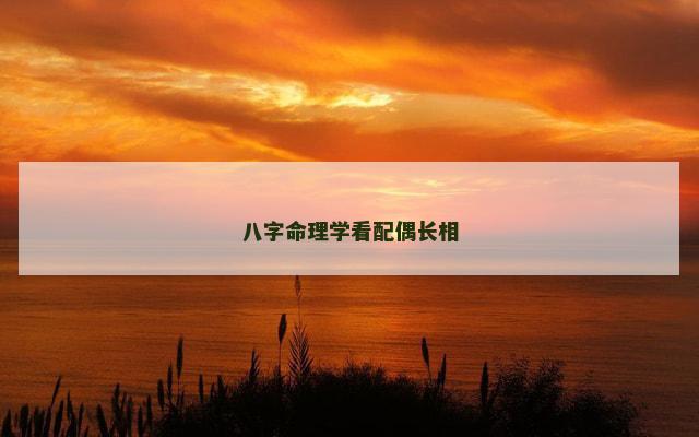 八字命理学看配偶长相