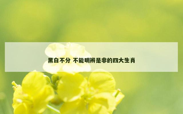 黑白不分 不能明辨是非的四大生肖
