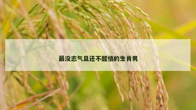 最没志气且还不醒悟的生肖男