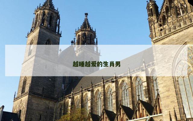 越睡越爱的生肖男