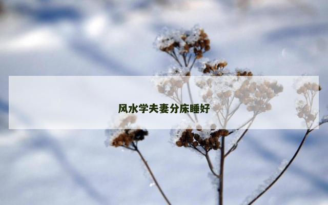 风水学夫妻分床睡好