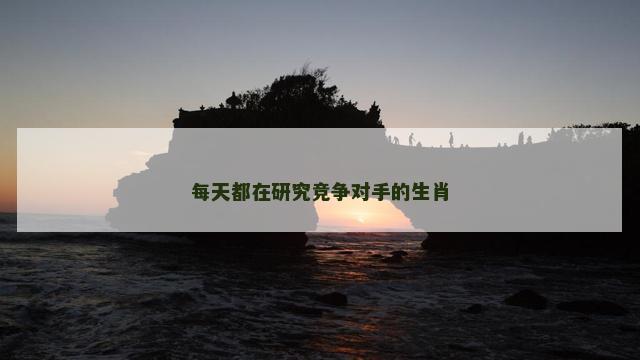 每天都在研究竞争对手的生肖