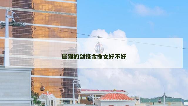 属猴的剑锋金命女好不好