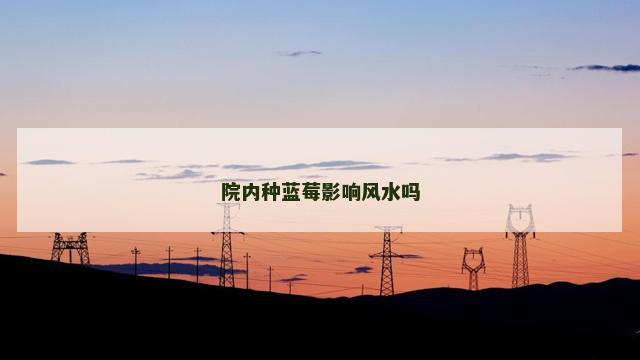 院内种蓝莓影响风水吗 院内种蓝莓影响风水吗