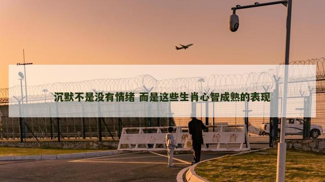 沉默不是没有情绪 而是这些生肖心智成熟的表现
