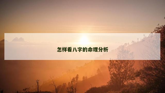 怎样看八字的命理分析
