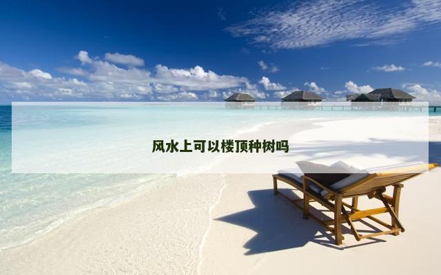 风水上可以楼顶种树吗