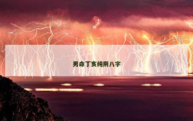 男命丁亥纯阴八字