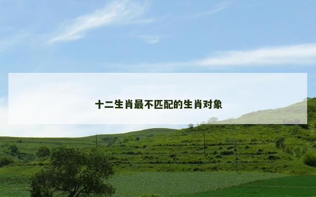 十二生肖最不匹配的生肖对象