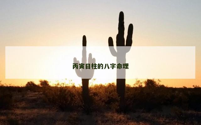 丙寅日柱的八字命理