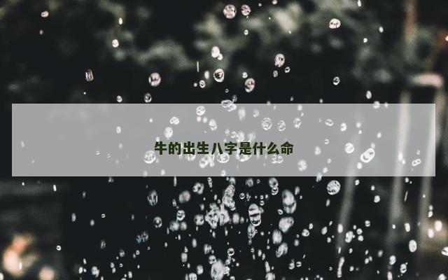 牛的出生八字是什么命 牛的出生八字是什么命