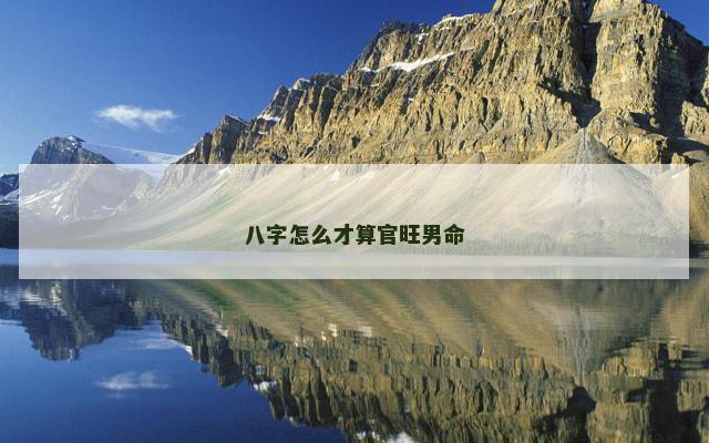 八字怎么才算官旺男命