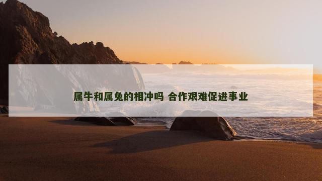 属牛和属兔的相冲吗 合作艰难促进事业