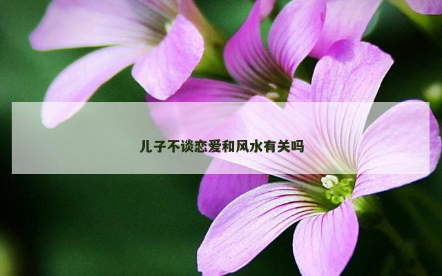 儿子不谈恋爱和风水有关吗