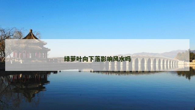 绿萝叶向下落影响风水吗