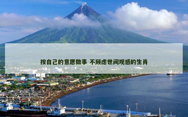 按自己的意愿做事 不顾虑世间观感的生肖