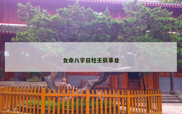 女命八字日柱壬辰事业