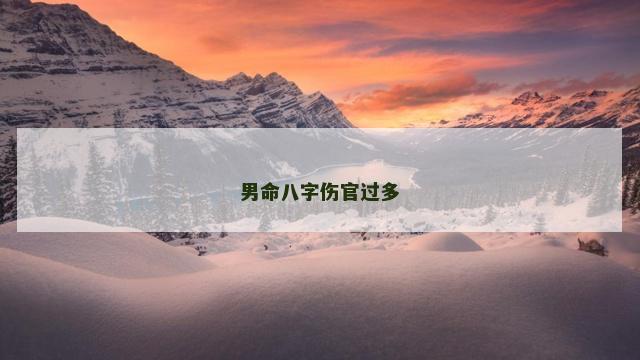 男命八字伤官过多