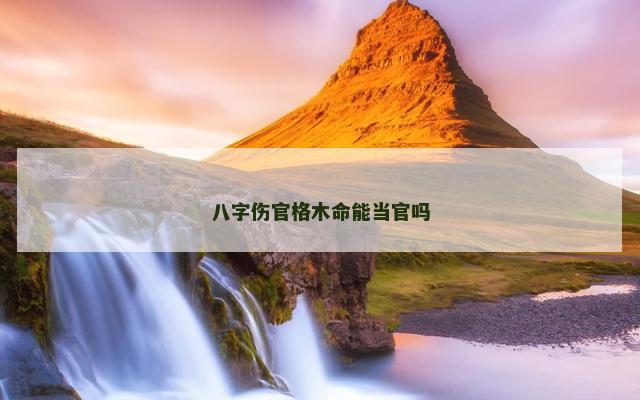 八字伤官格木命能当官吗