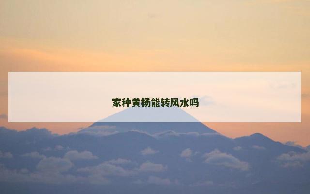 家种黄杨能转风水吗