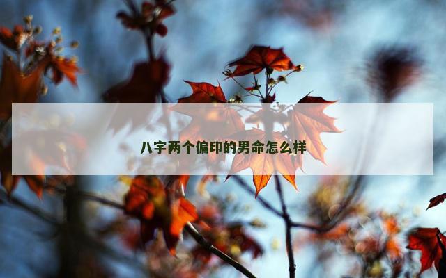 八字两个偏印的男命怎么样 八字两个偏印的男命怎么样