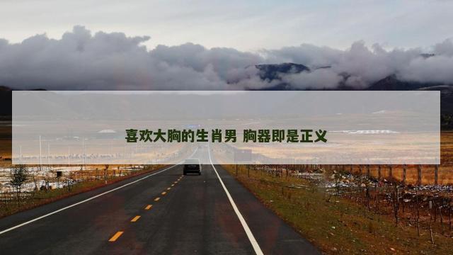 喜欢大胸的生肖男 胸器即是正义