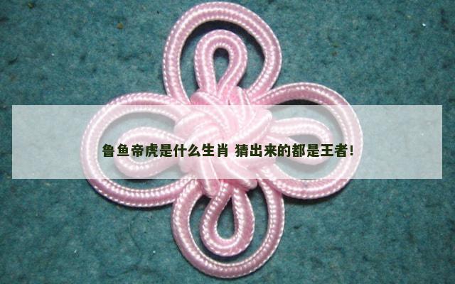 鲁鱼帝虎是什么生肖 猜出来的都是王者！