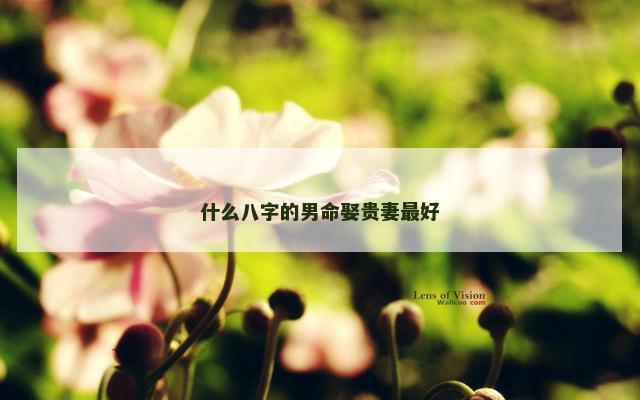 什么八字的男命娶贵妻最好