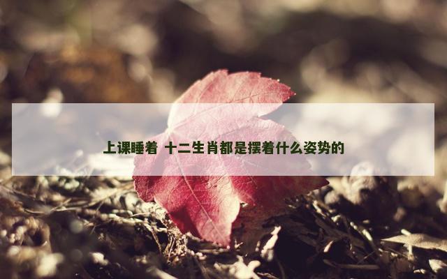 上课睡着 十二生肖都是摆着什么姿势的