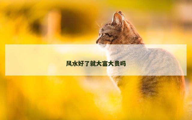 风水好了就大富大贵吗