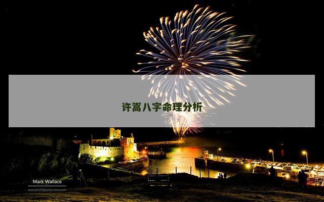 许嵩八字命理分析