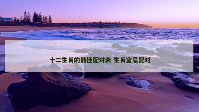 十二生肖的最佳配对表 生肖宜忌配对
