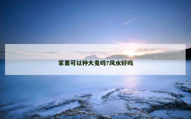 家里可以种大麦吗?风水好吗
