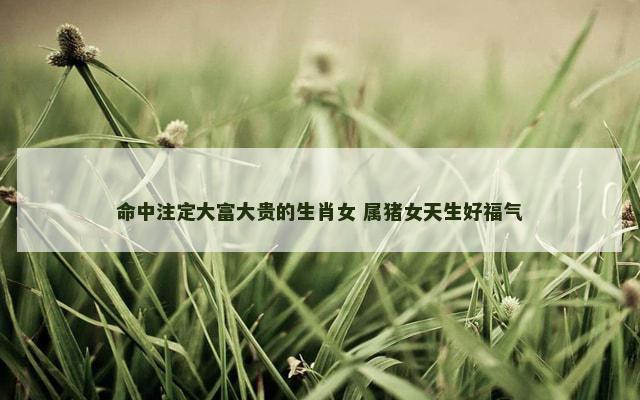 命中注定大富大贵的生肖女 属猪女天生好福气