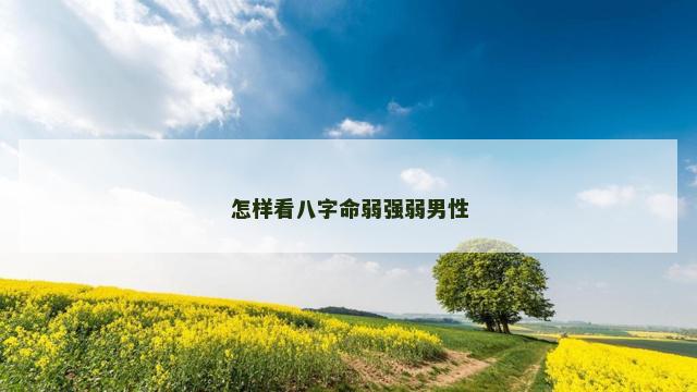 怎样看八字命弱强弱男性