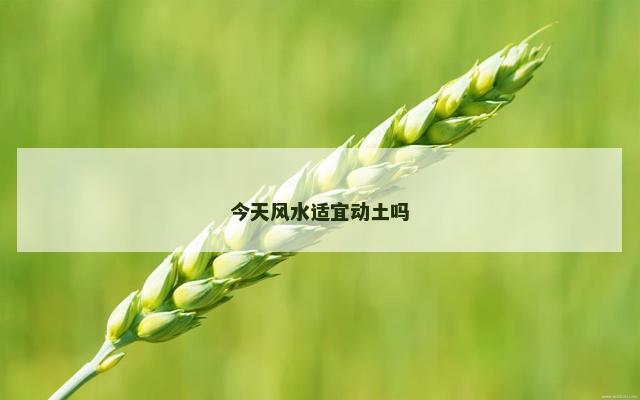 今天风水适宜动土吗