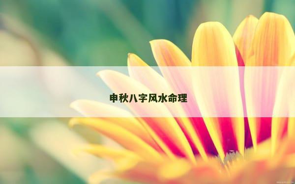 申秋八字风水命理