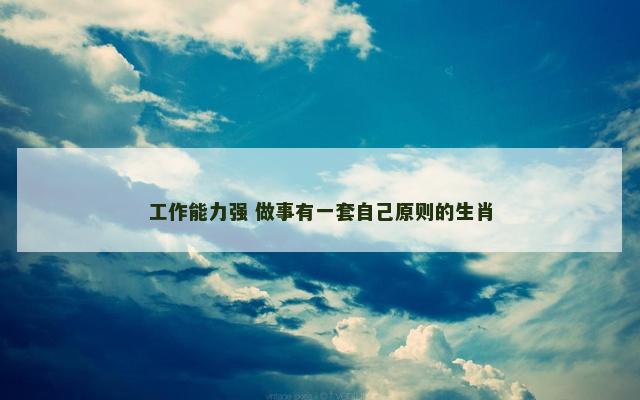 工作能力强 做事有一套自己原则的生肖