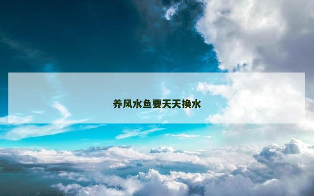 养风水鱼要天天换水