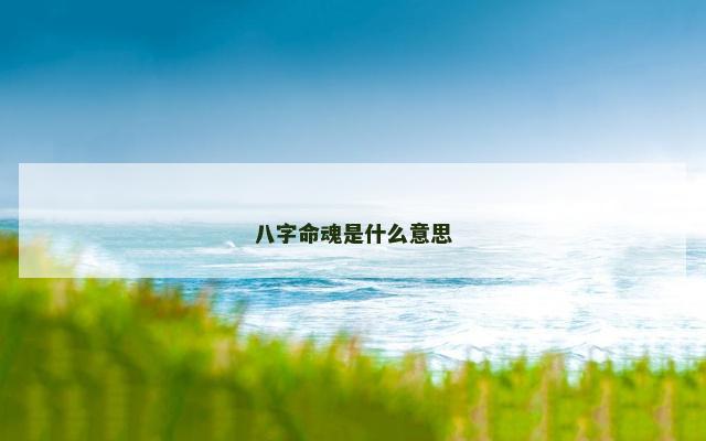 八字命魂是什么意思